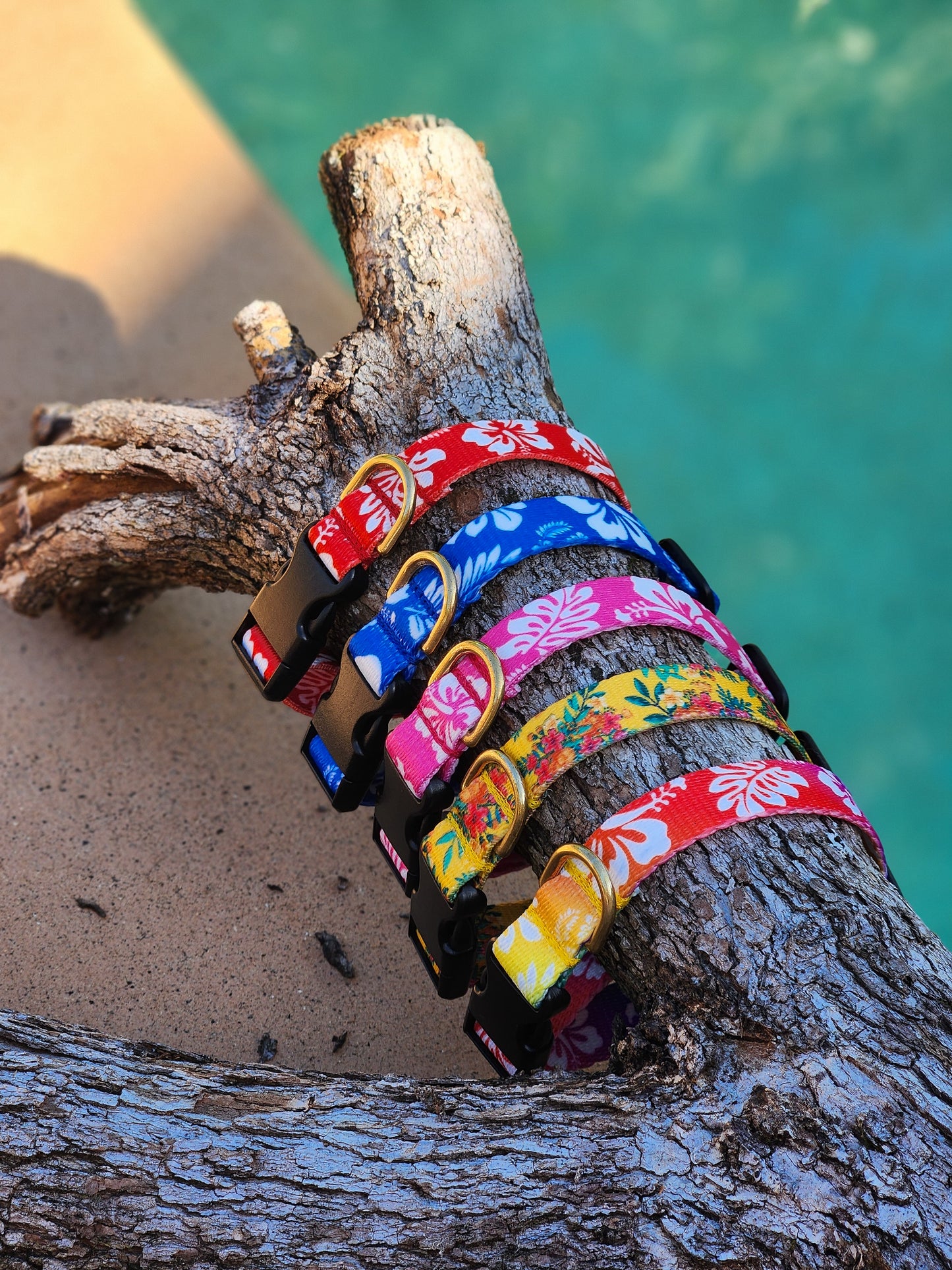 Rainbow Hawaiian Collar