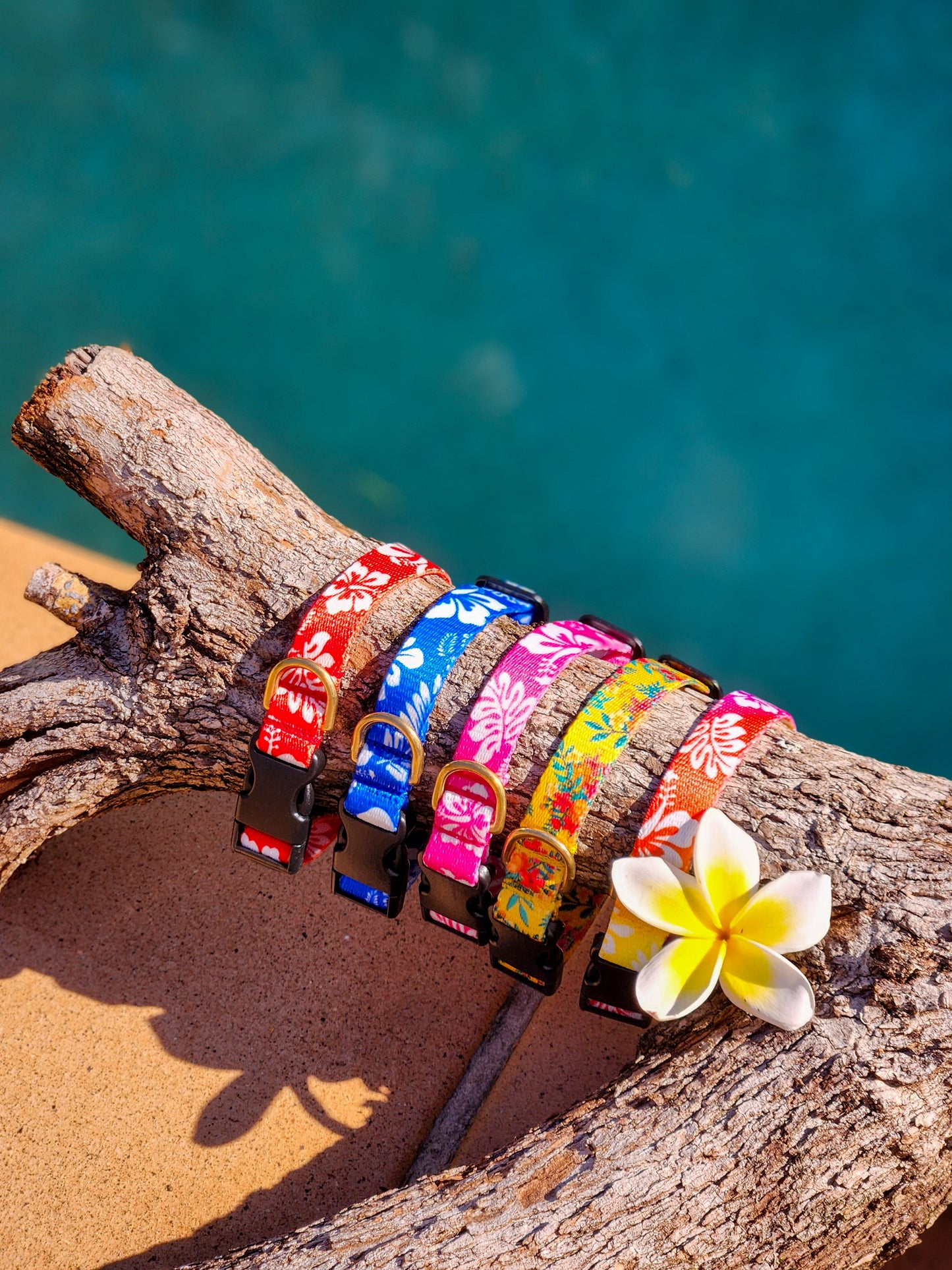 Rainbow Hawaiian Collar + Lead Set