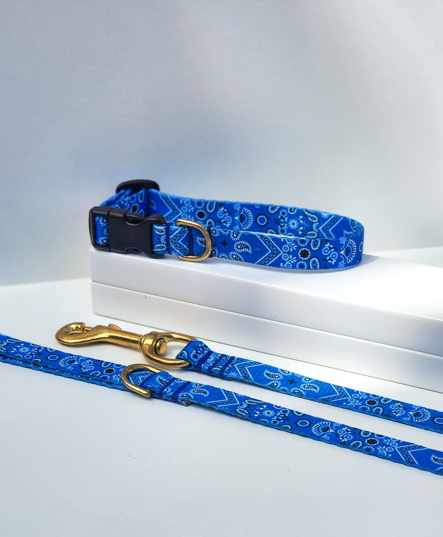 Blue Bandana Collar + Lead Set