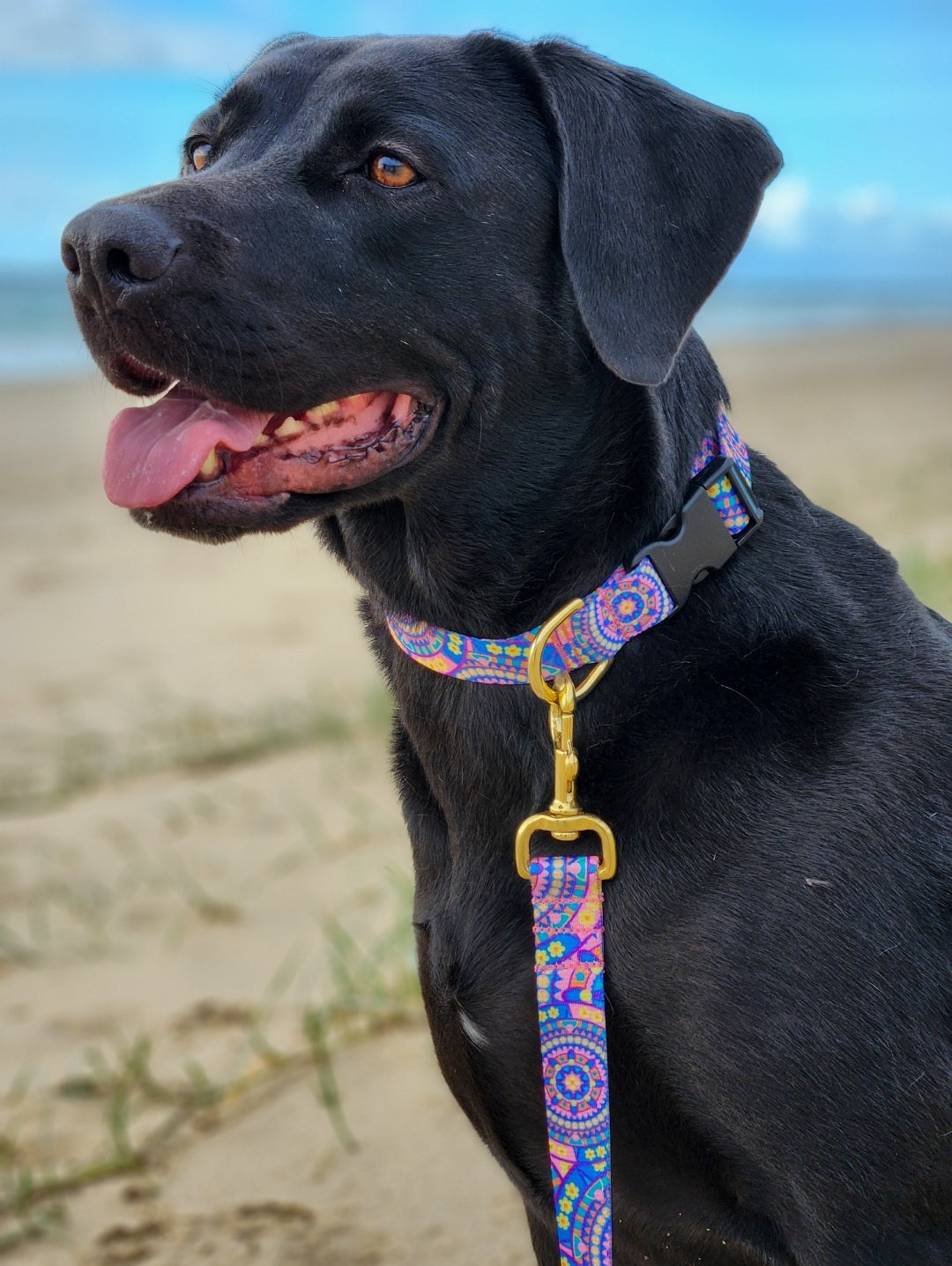 Boho Mandala Collar + Lead Set