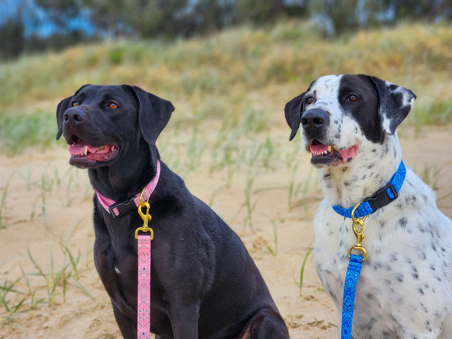 Pink Bandana Collar
