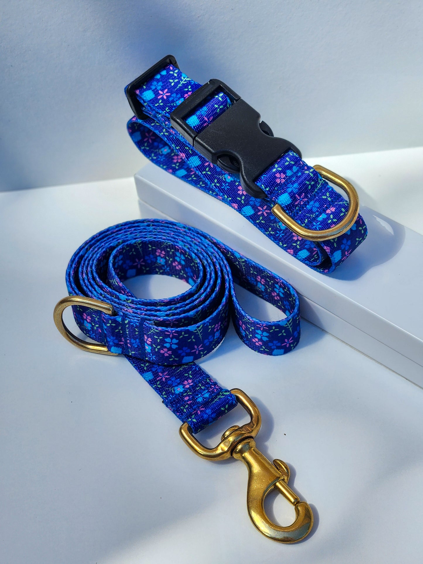 Blueberry Collar + Lead Set