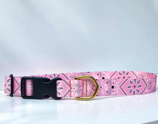 Pink Bandana Collar