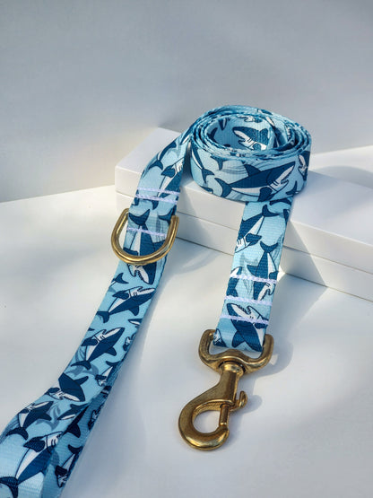 Blue Sharks Collar + Lead Set