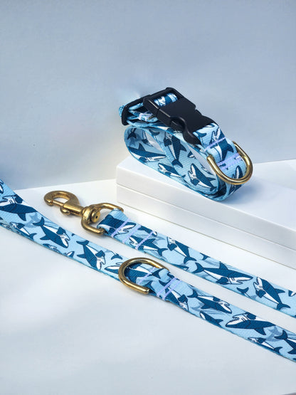 Blue Sharks Collar + Lead Set