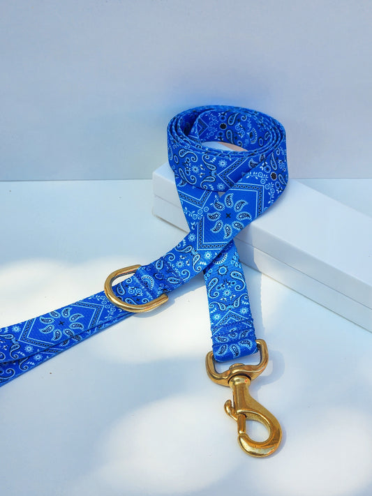 Blue Bandana Lead