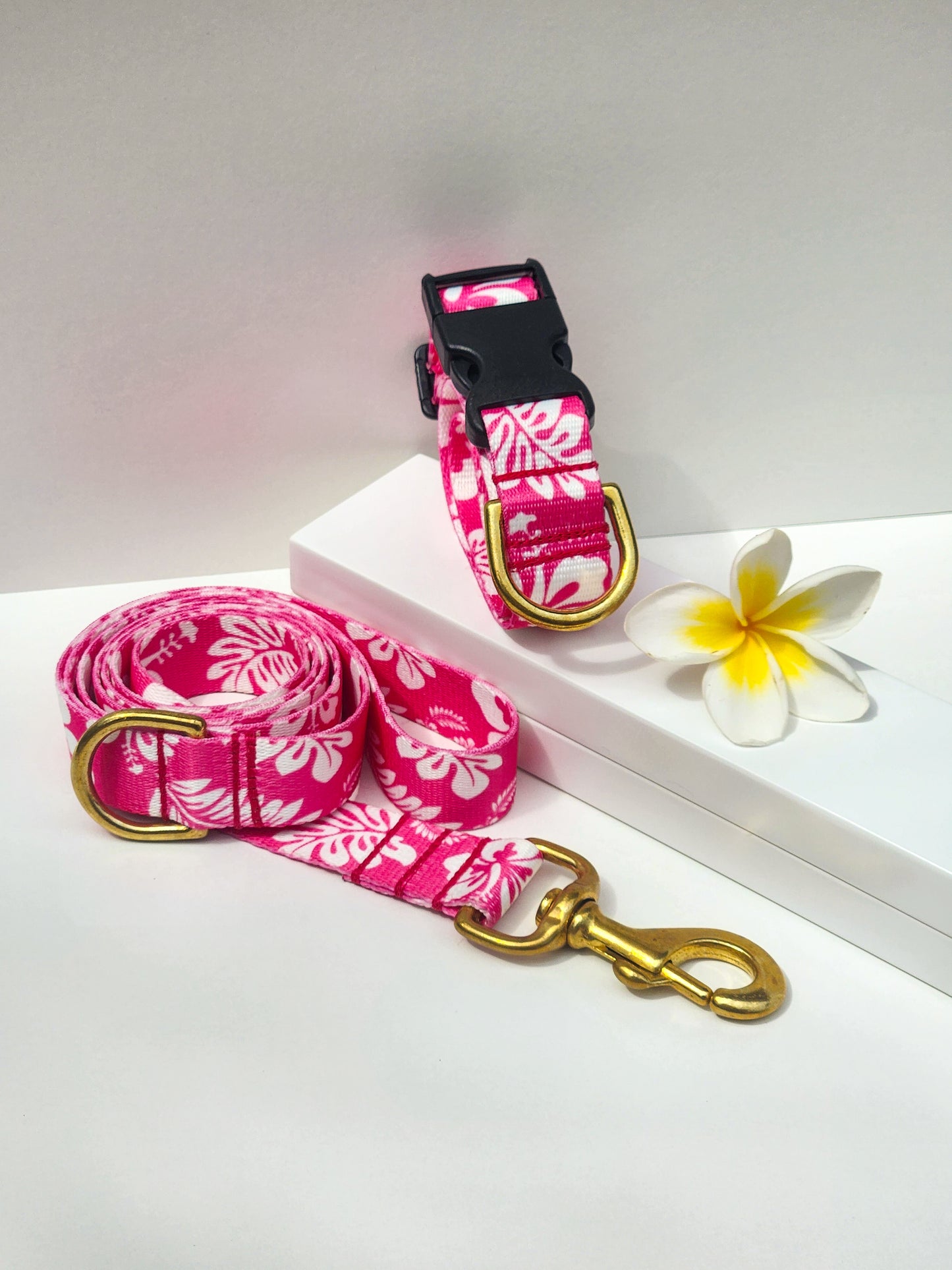 Pink Hawaiian Collar + Lead Set