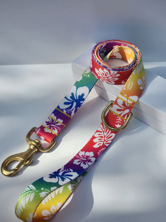 Rainbow Hawaiian Lead
