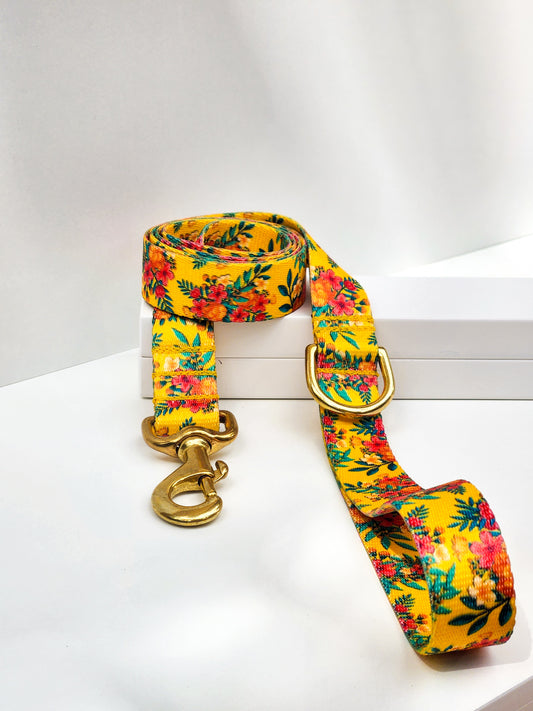 Yellow Hawaiian Lead