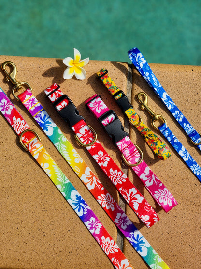 Blue Hawaiian Collar + Lead Set