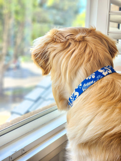 Blue Hawaiian Collar + Lead Set