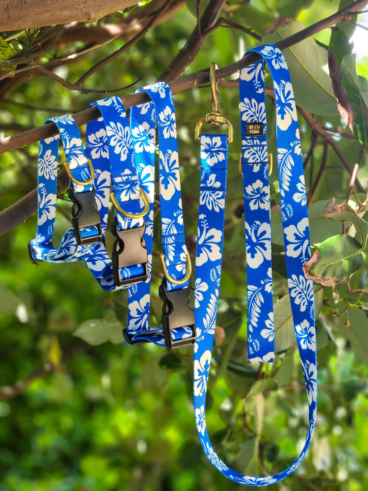 Blue Hawaiian Collar + Lead Set