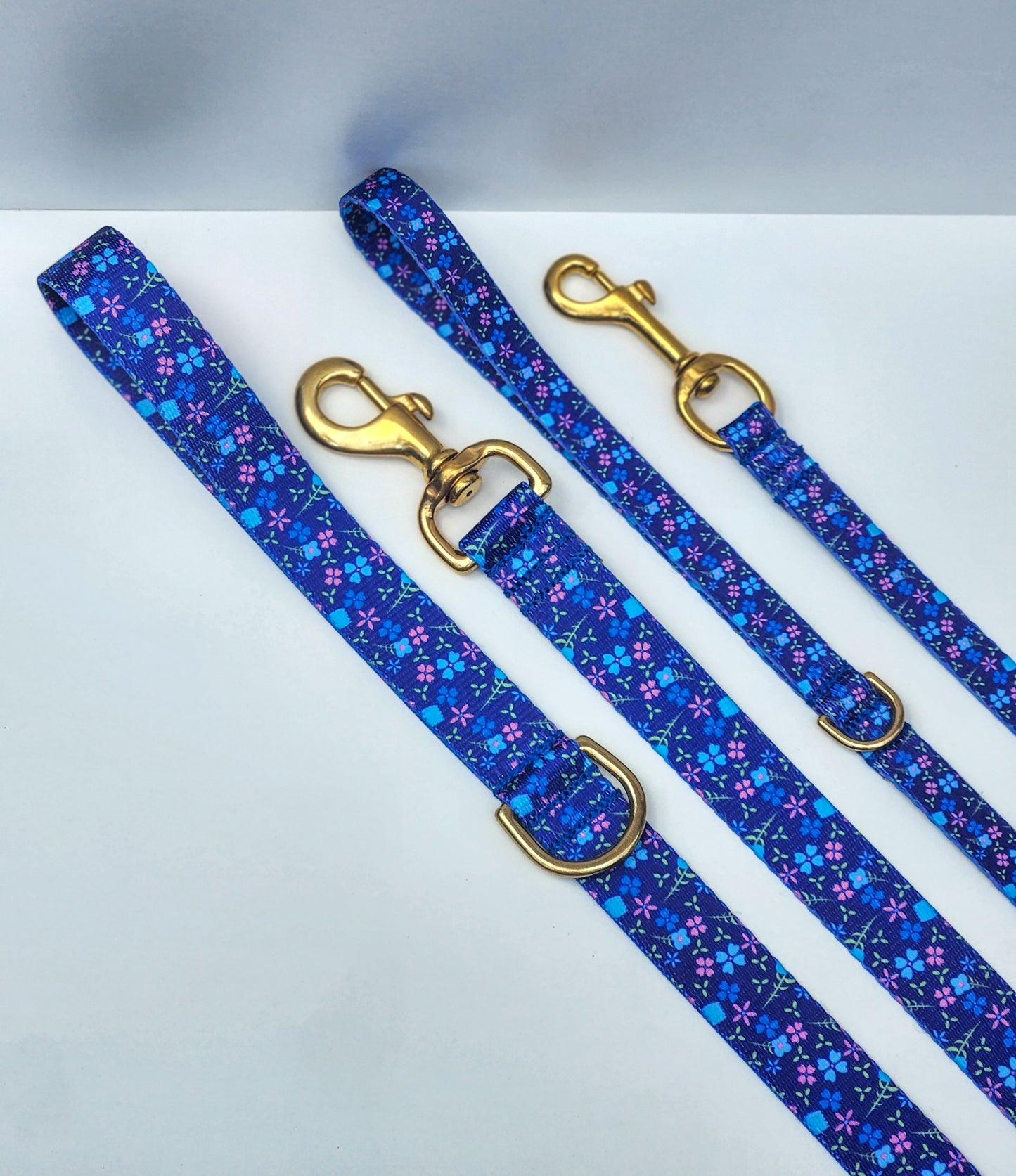 Blueberry Collar + Lead Set