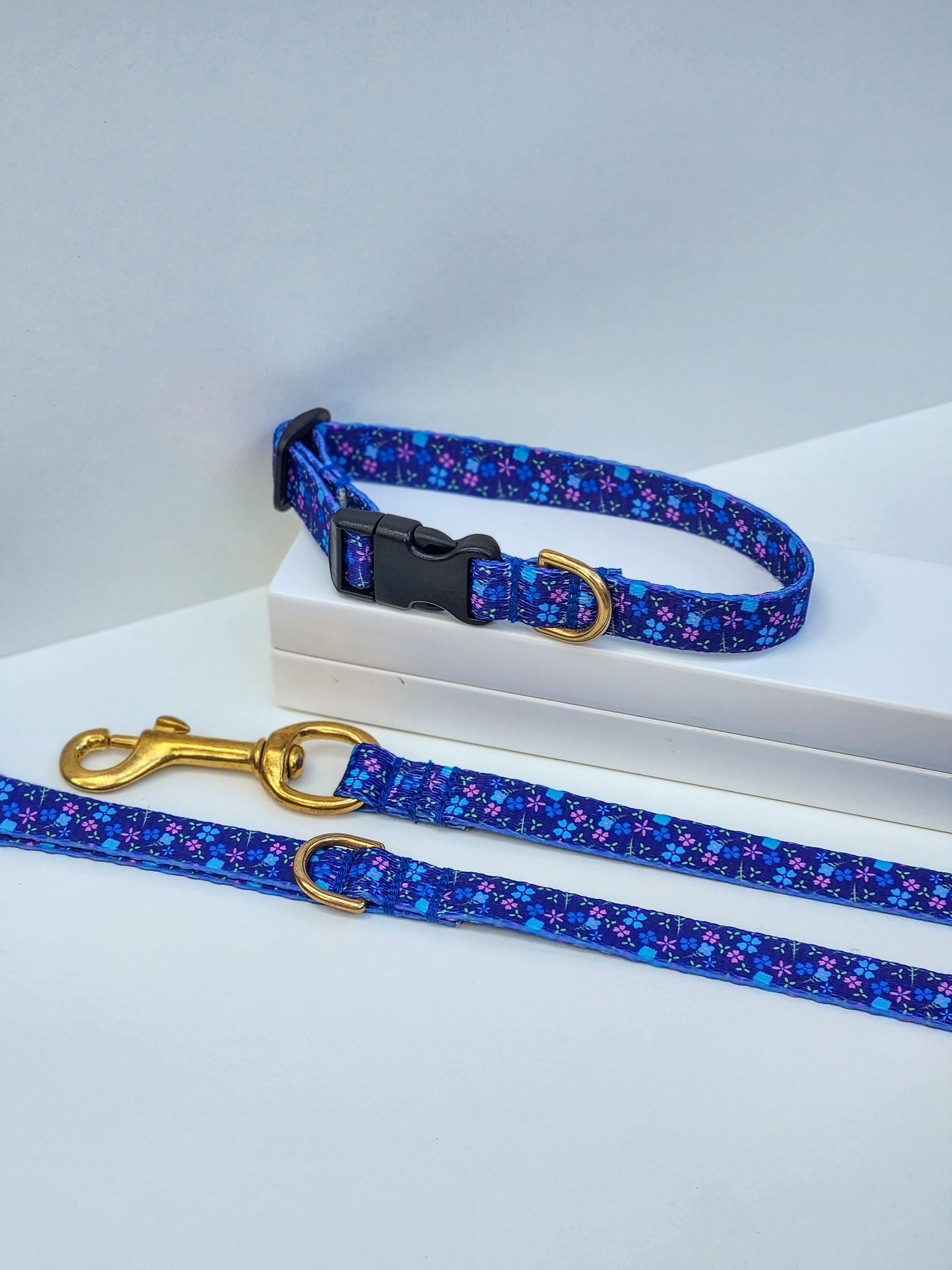 Blueberry Collar + Lead Set