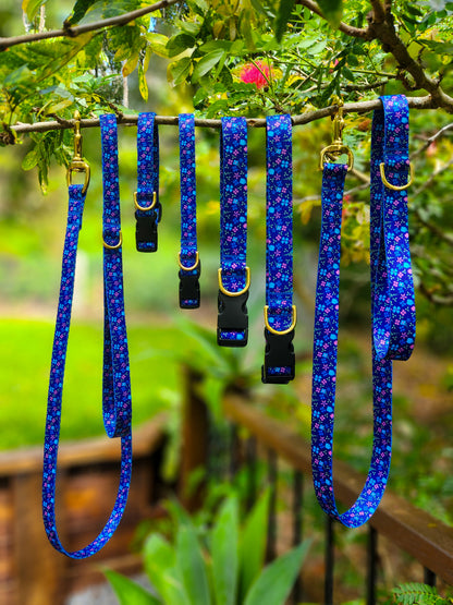 Blueberry Collar + Lead Set