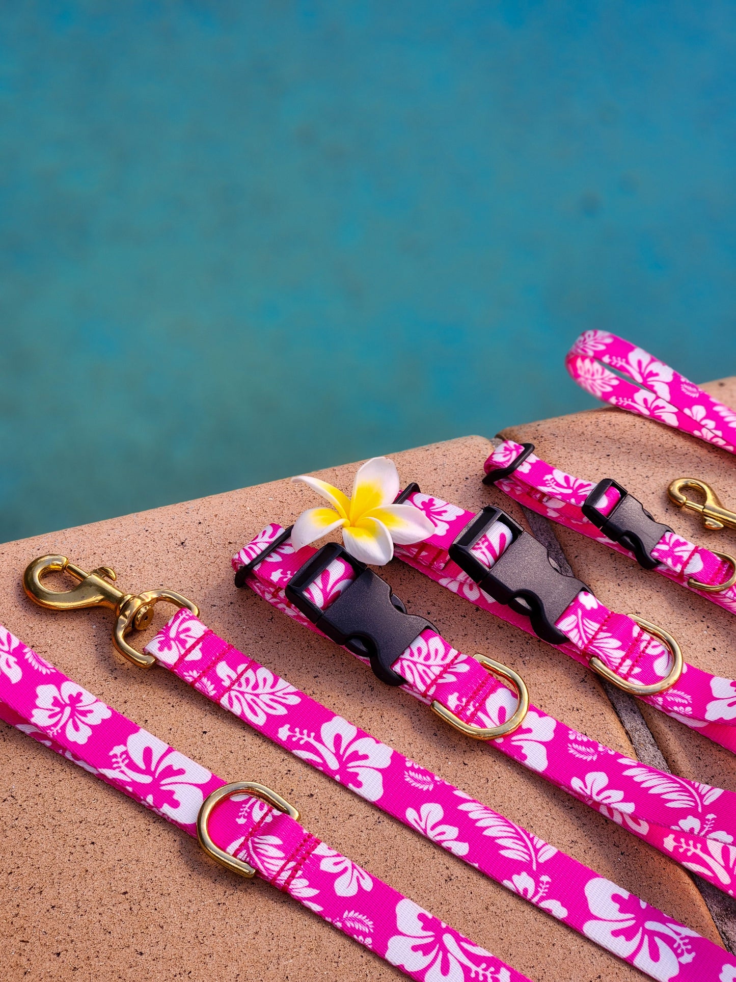 Pink Hawaiian Collar + Lead Set