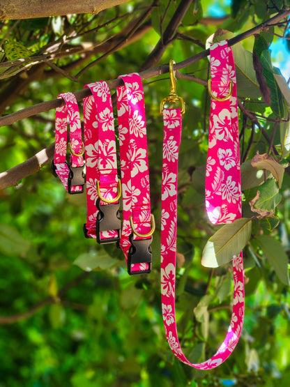 Pink Hawaiian Collar + Lead Set