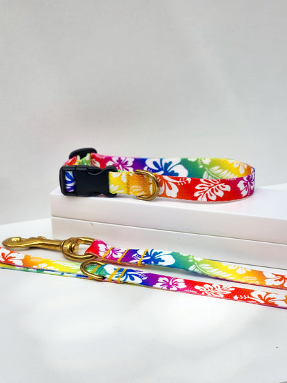 Rainbow Hawaiian Collar + Lead Set