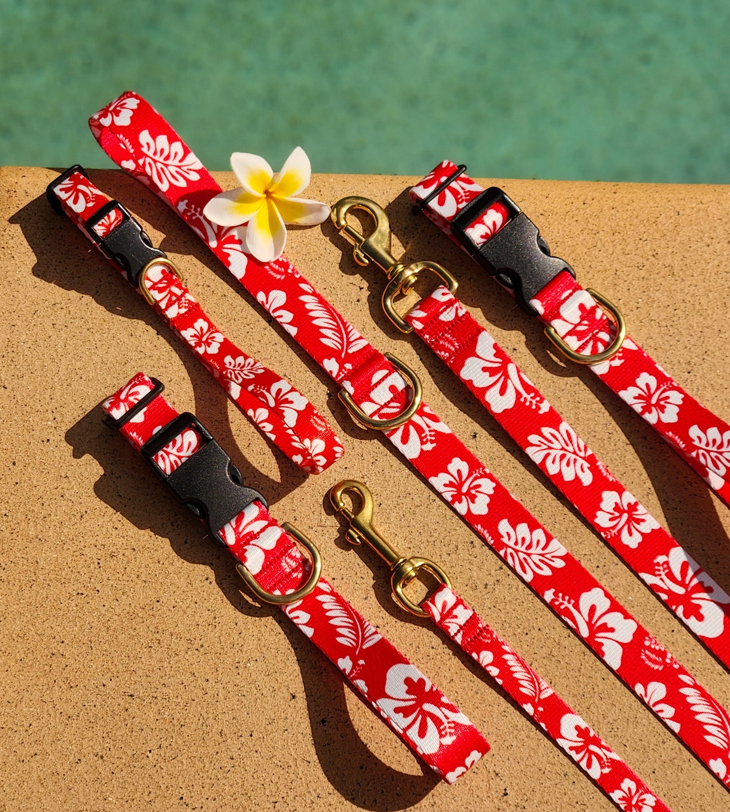 Red Hawaiian Collar + Lead Set