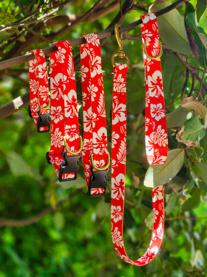 Red Hawaiian Collar + Lead Set