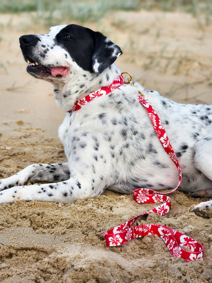 Red Hawaiian Collar + Lead Set