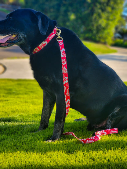 Red Hawaiian Collar + Lead Set