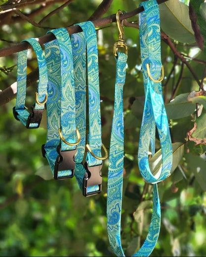 Sea Green Paisley Collar + Lead Set