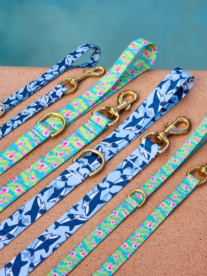 Blue Sharks Collar + Lead Set