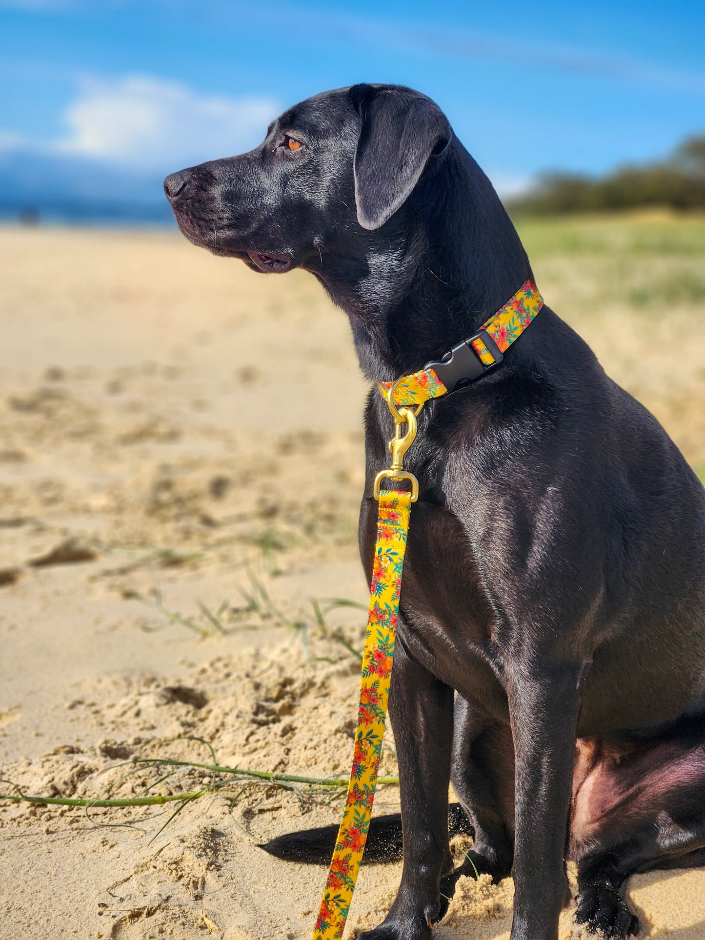 Yellow Hawaiian Collar + Lead Set