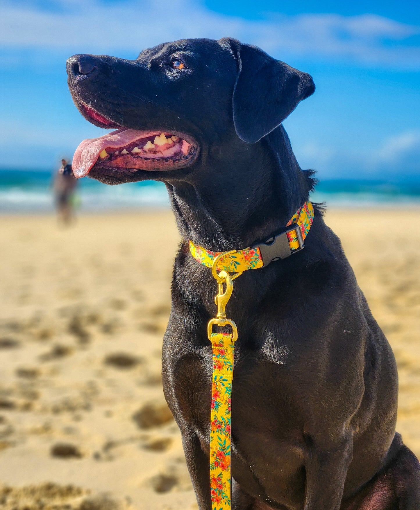 Yellow Hawaiian Collar + Lead Set