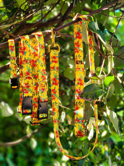 Yellow Hawaiian Collar + Lead Set